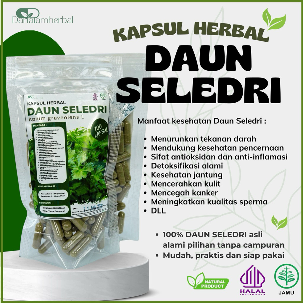 Kapsul Herbal DAUN SELEDRI isi 100 kapsul | Kapsul Sejuta manfaat asli 100% Daun Seledri Alami