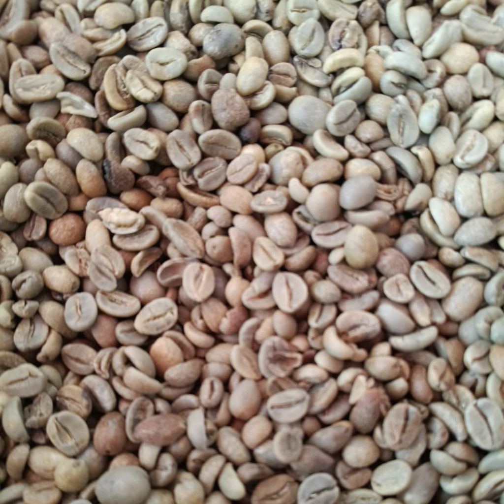 

Green Bean Kopi LOA Paseh - Natural Process 1Kg