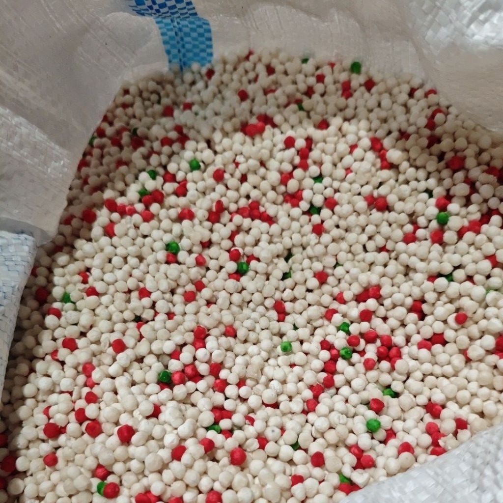 

sagu mata ikan warna warni