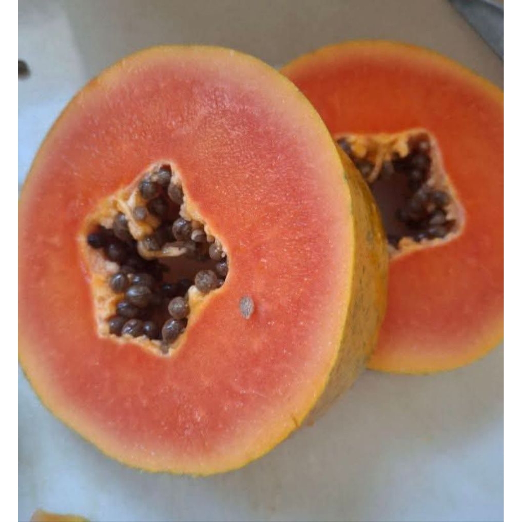 

Pepaya California Manis Legit Seger 1 pepaya berat 1-1.5 kg