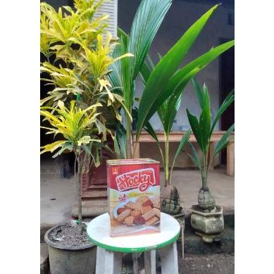 

PROMO !!! Biskuit UBM Hocky Assorted 700g