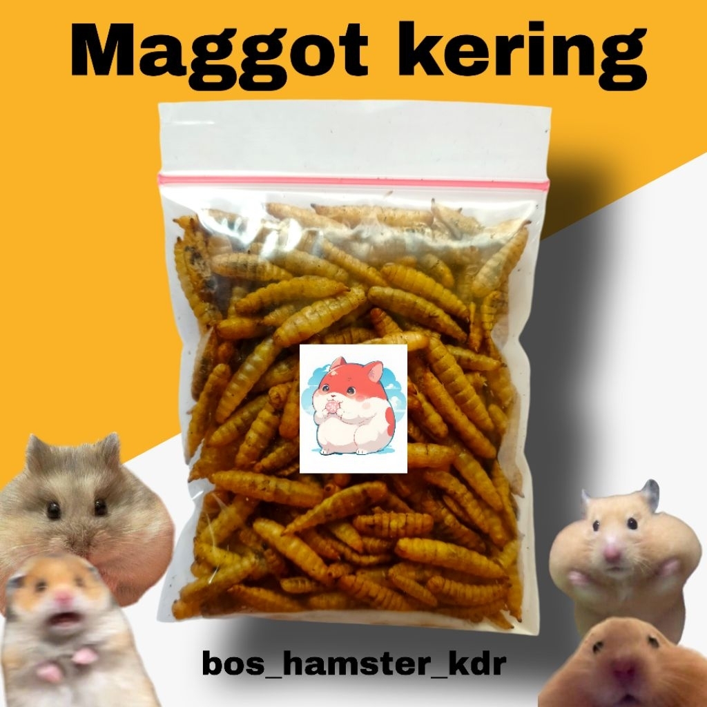 Snack Hamster Dried Maggot /Maggot kering Additional