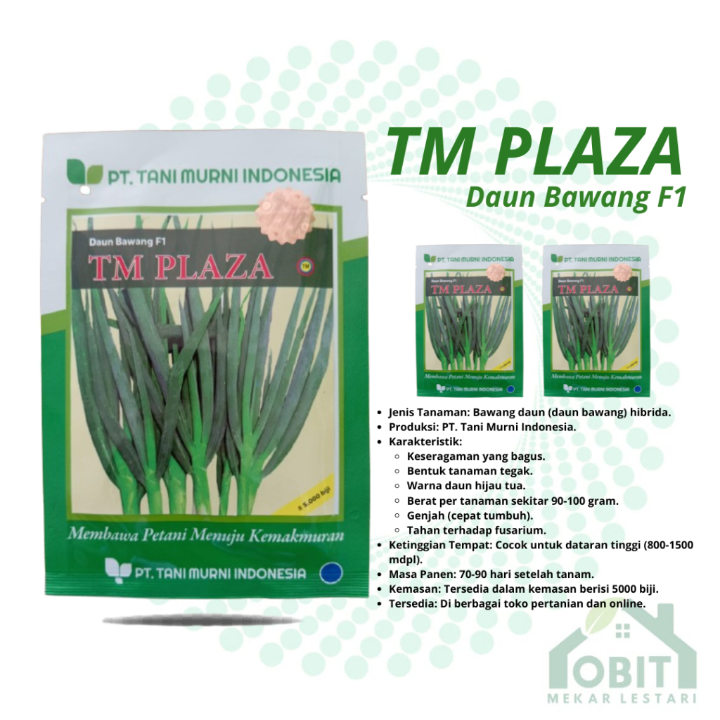 DAUN BAWANG F1 TM PLAZA KEMASAN KURANG LEBIH 5.000 BIJI ORIGINAL PT TANI MURNI