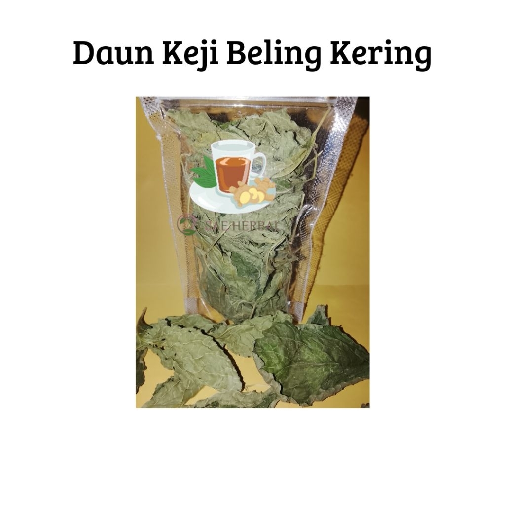 

Daun Keji Beling Kering Herbal Organik SAE Herbal