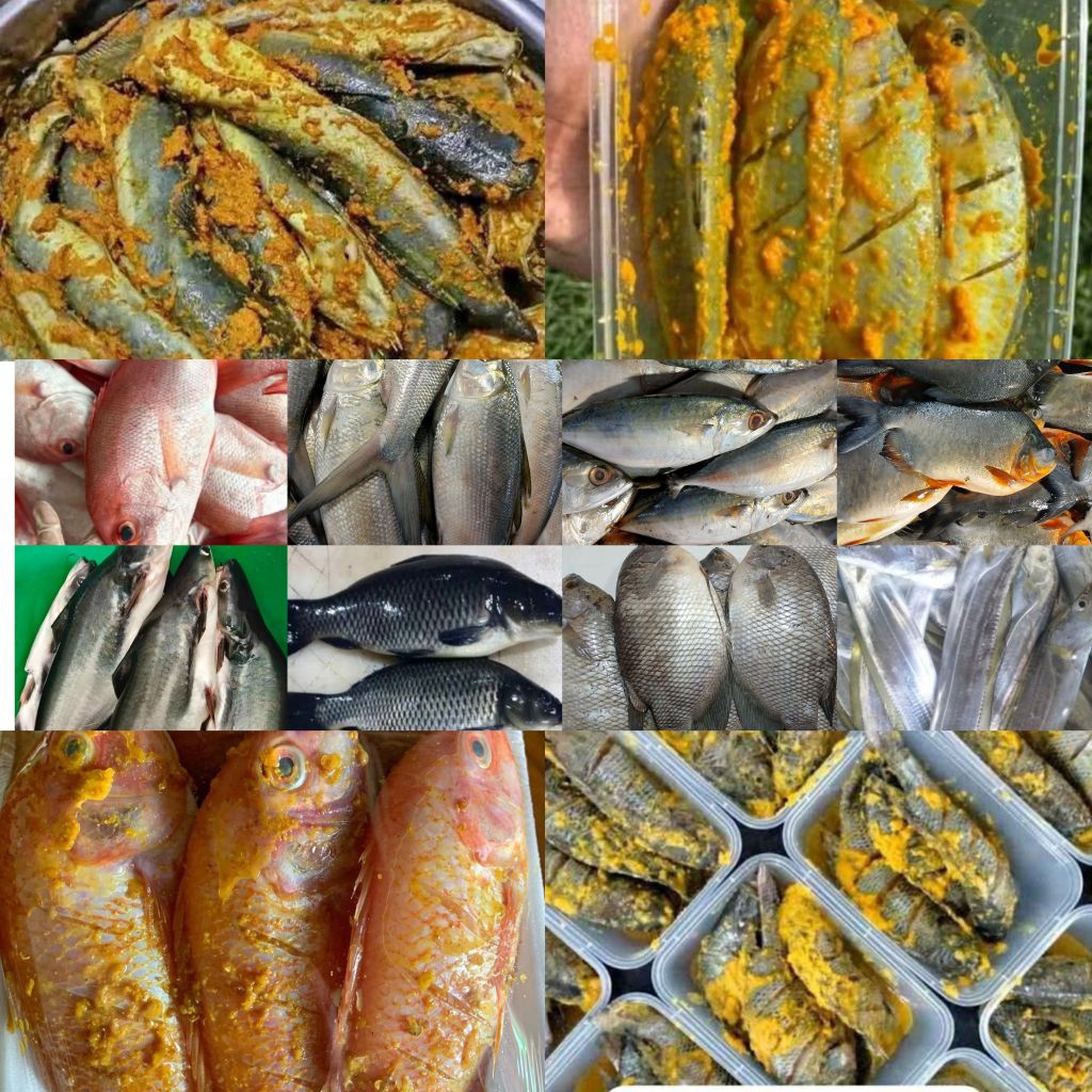

ANEKA IKAN MARINASI 500GRAM - IKAN LELE / IKAN MUJAHIR / IKAN NILA / KEMBUNG BANJAR / IKAN PATIN / IKAN TONGKOL / IKAN SELAR / IKAN BAWAL / IKAN GURAME / KERANG HIJAU KUPAS / IKAN BANDENG / CUMI-CUMI / IKAN MAS / IKAN LAYUR / IKAN KAKAP / UDANG DLL