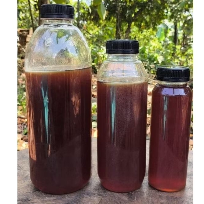 

madu klanceng murni 500gram madu murni klanceng liar Klanceng bambu klanceng liar kelulut trigona