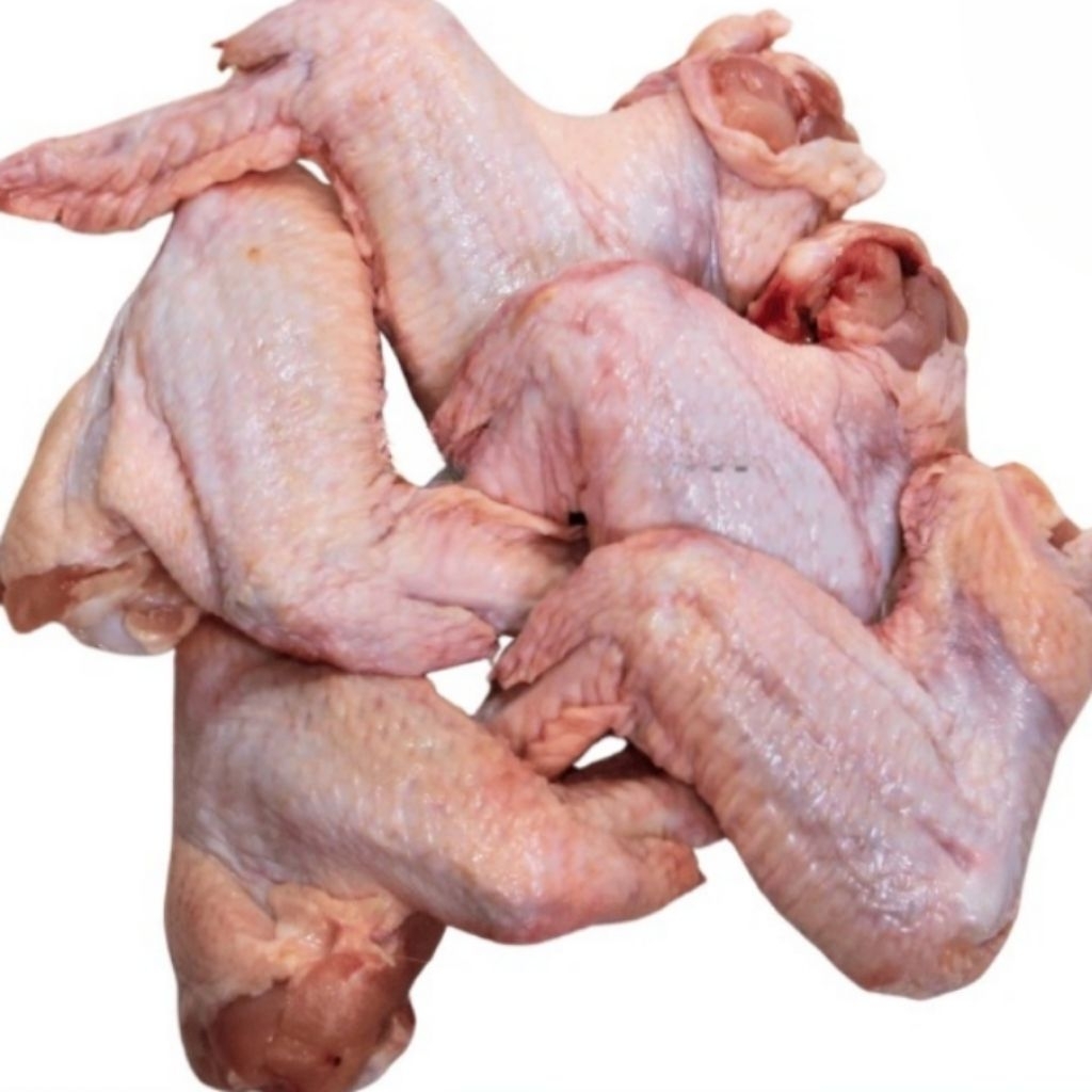 

Kode J. Sayap Ayam | Chicken Wing Beku Frozen