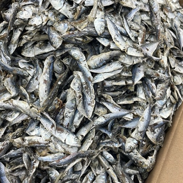 

IKAN GEMBUNG REBUS SEDANG