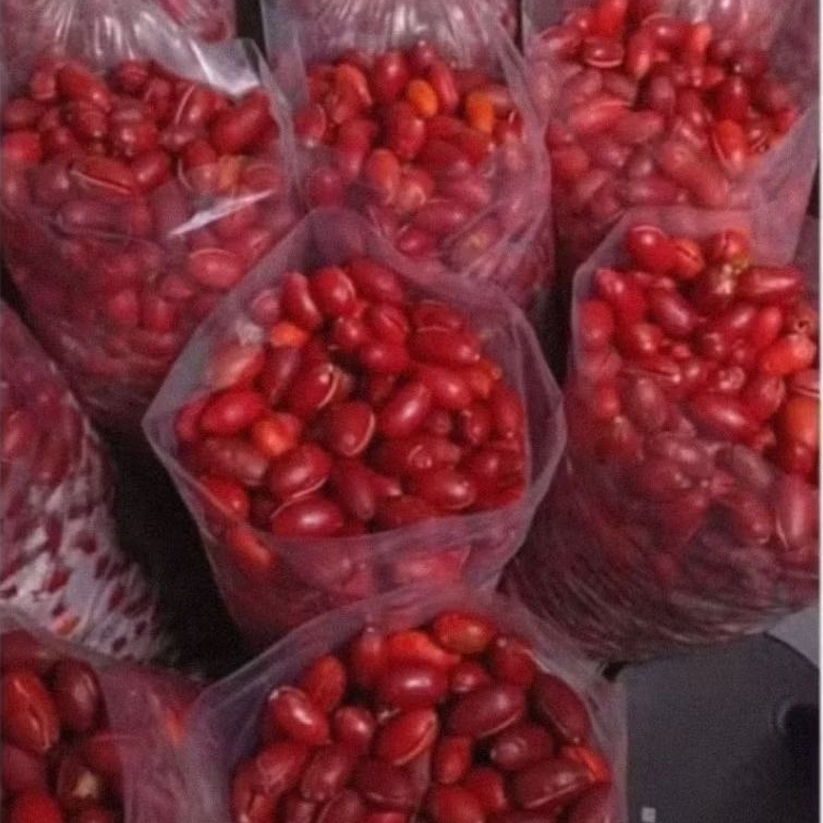 

KULIT MELINJO SEGAR DI KIRIM DARI BANTEN KULIT BUAH MELINJO MLINJO MALINJO TANGKIL SATURAN