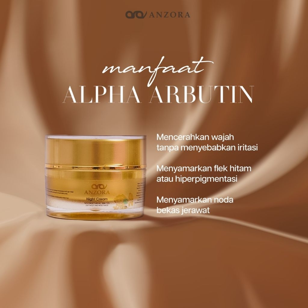 ecer night cream ADS acne dark spot anzora skincare BPOM