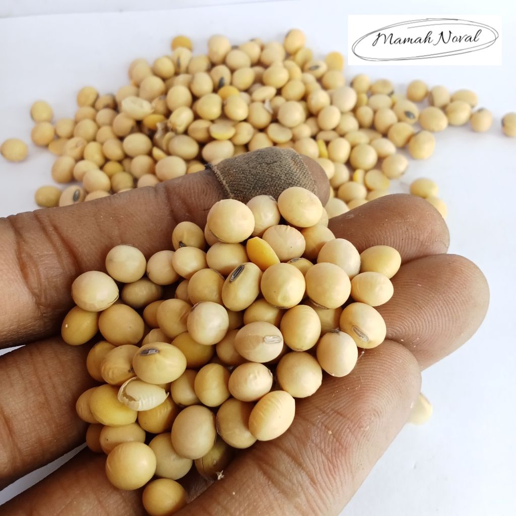 

Kacang kedelai super 500 gram / kacang / bahan makanan