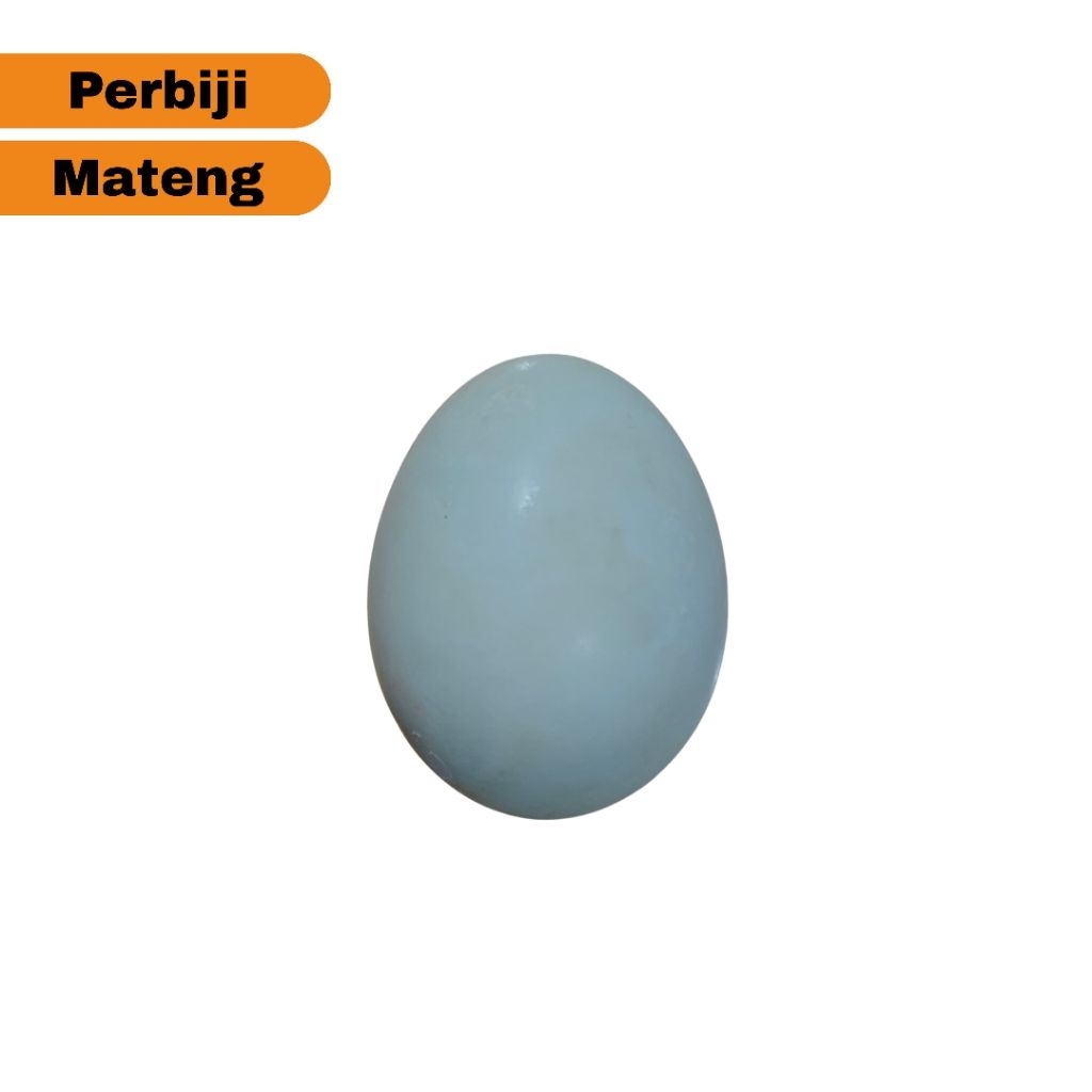 

TELUR ASIN MATENG (10 Biji)
