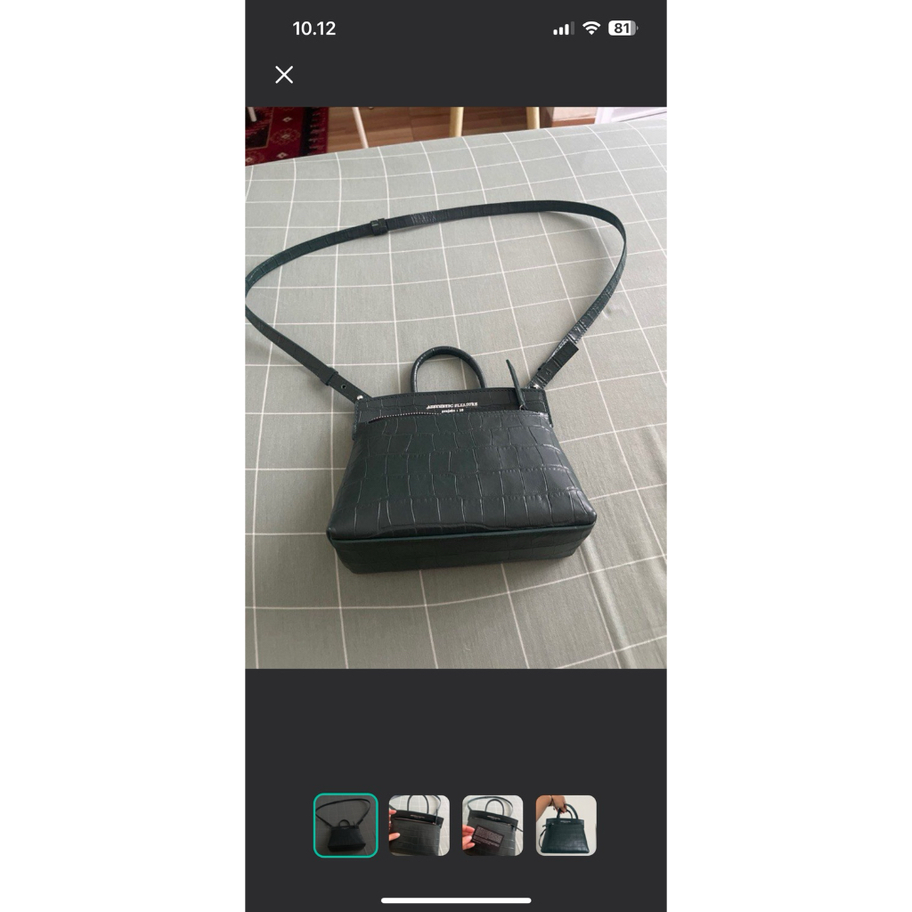 Aesthetic pleasure mini ace bag croc green aligator