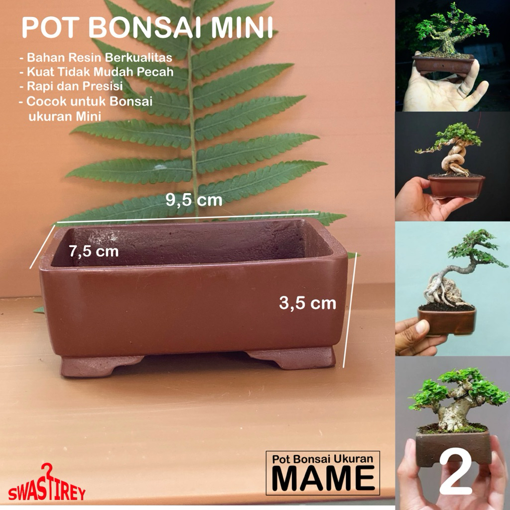 Pot Bonsai Mini Mame Shito Resin #2