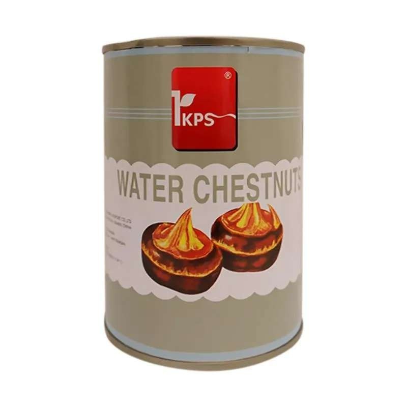 

[oddsolshop] pekanbaru/IKPS Water Chestnuts 567GR