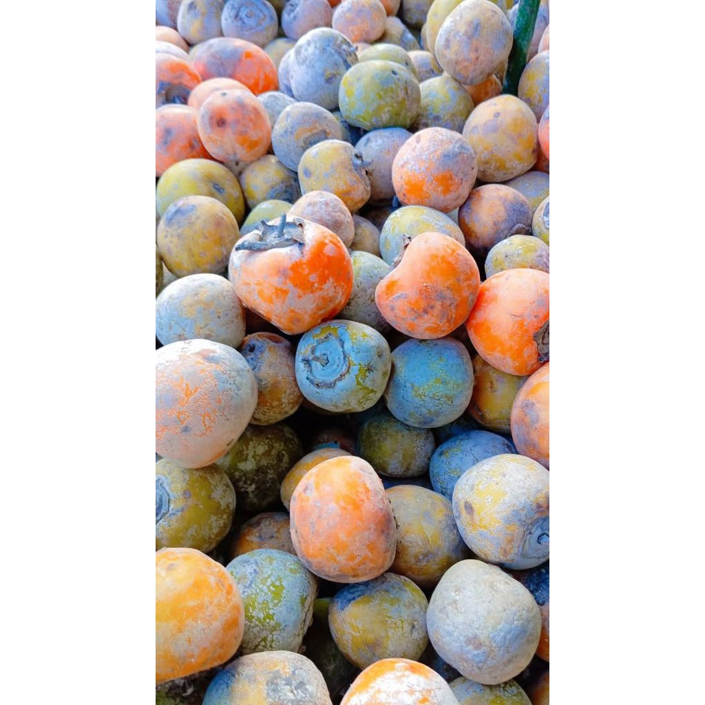 

Buah Kesemek Manis Fresh 1kg