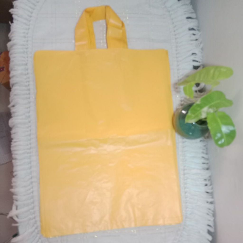 

Tas Plastik Warna, Tas Kado, Tas Parcel isi 25lbr