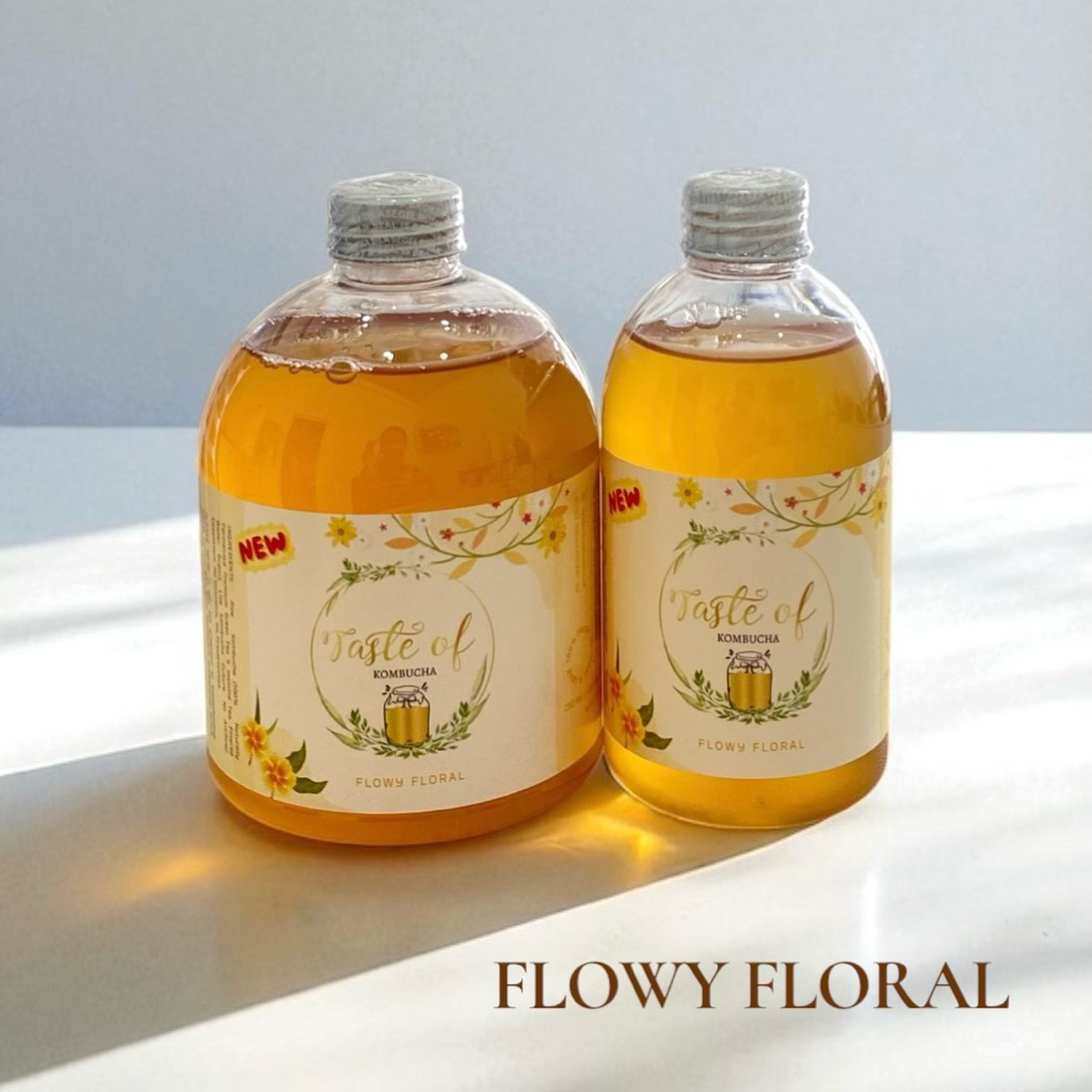 

BASIC Kombucha 500ml