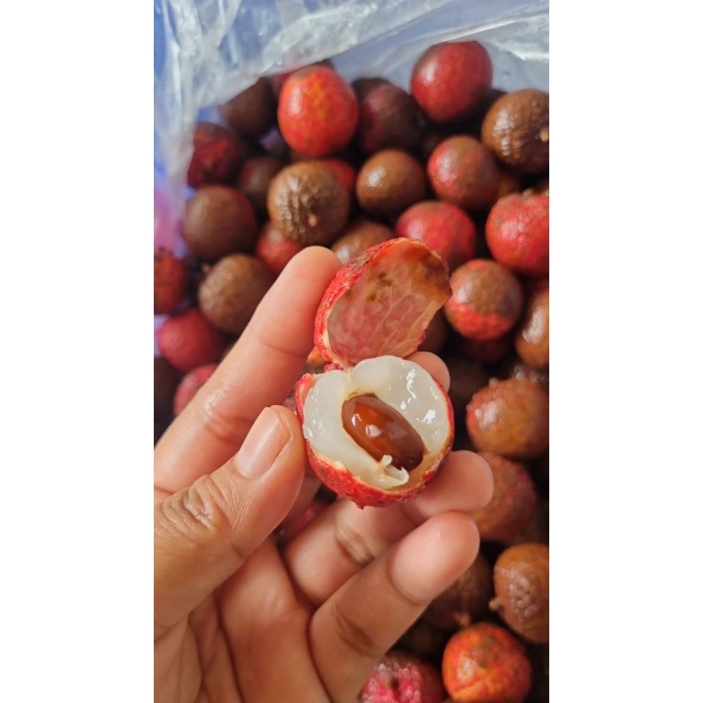 

Leci Merah Semi Negro 1kg Manis