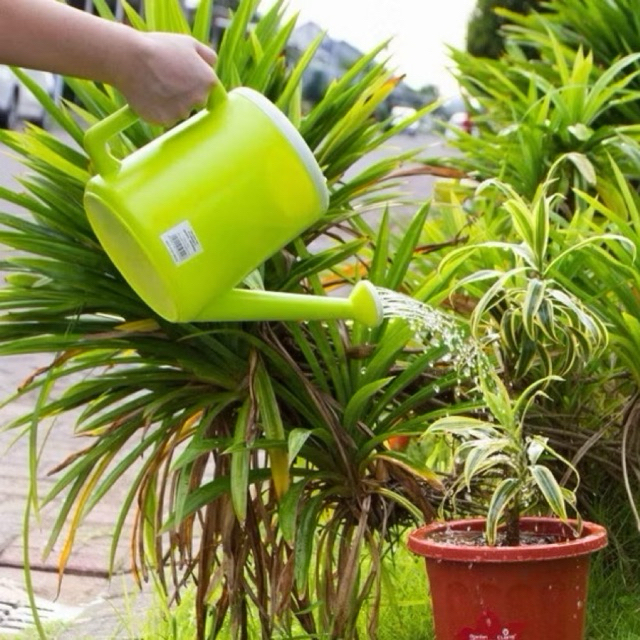 Bosplant - Alat Siram Tanaman Teko Siram Tanaman