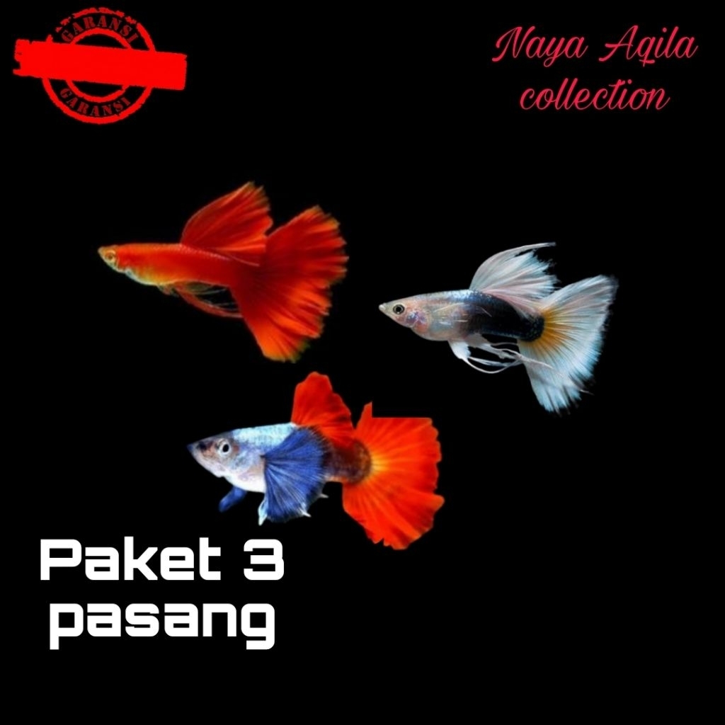 

packing Styrofoam-3 pasang