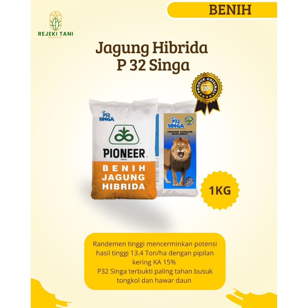 

Jagung Hibrida P32 Singa-1KG|Bibit Jagung Hibrida Pioneer|100% Original
