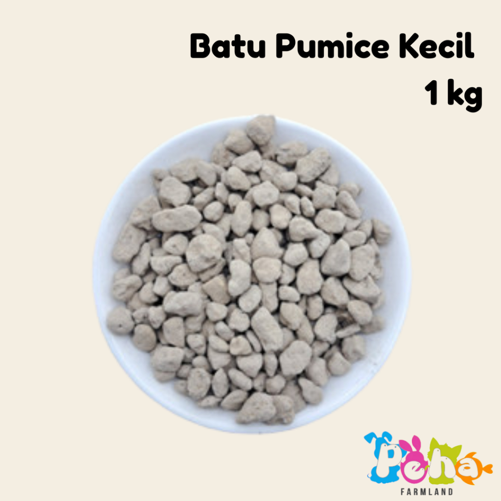 Batu Pumice Kecil 1 kg Batu Filter Aquarium