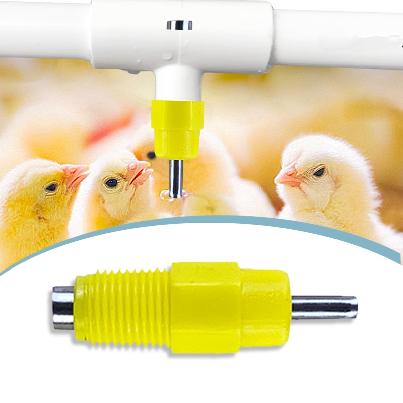 Isi 20 Niple Drinker Ayam Aksesoris Alat Minum Ayam Nipel Pipa Kotak