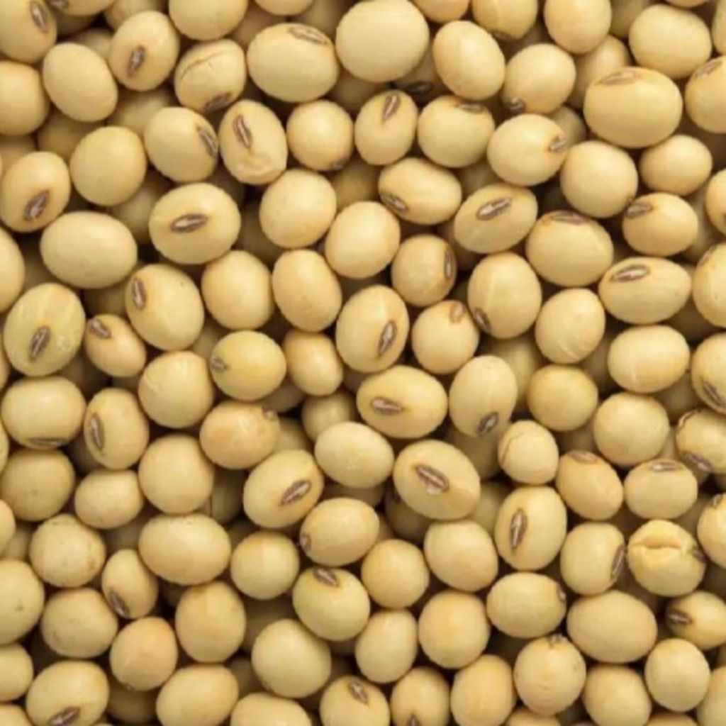 

KACANG KEDELAI IMPOR 5KG SUPER