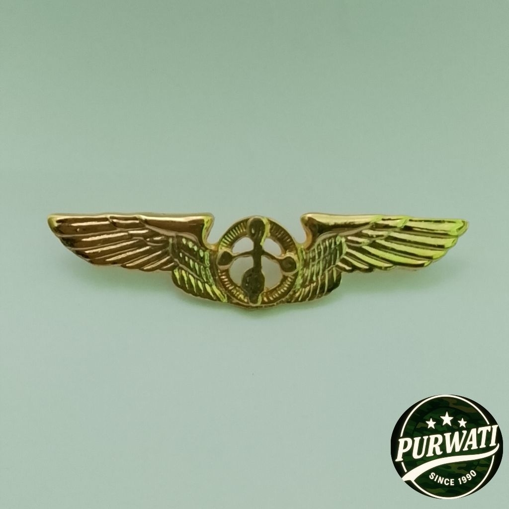 EMBLEM PDH METEO TNI AU