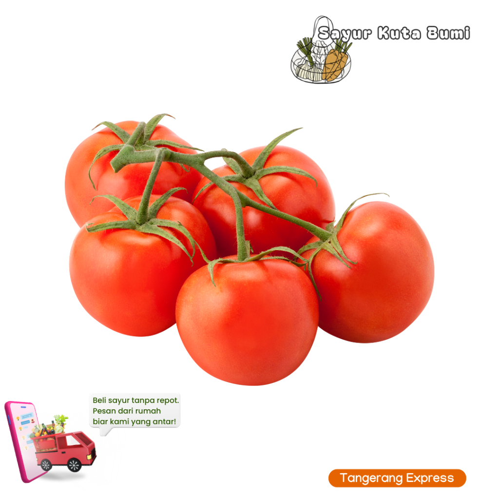 

KIRIM INSTAN Tomat Merah 500gr Sayur Kuta Bumi Pasar Kemis Tangerang Express