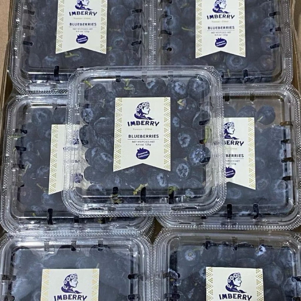 

Blueberry USA 125gr Fresh