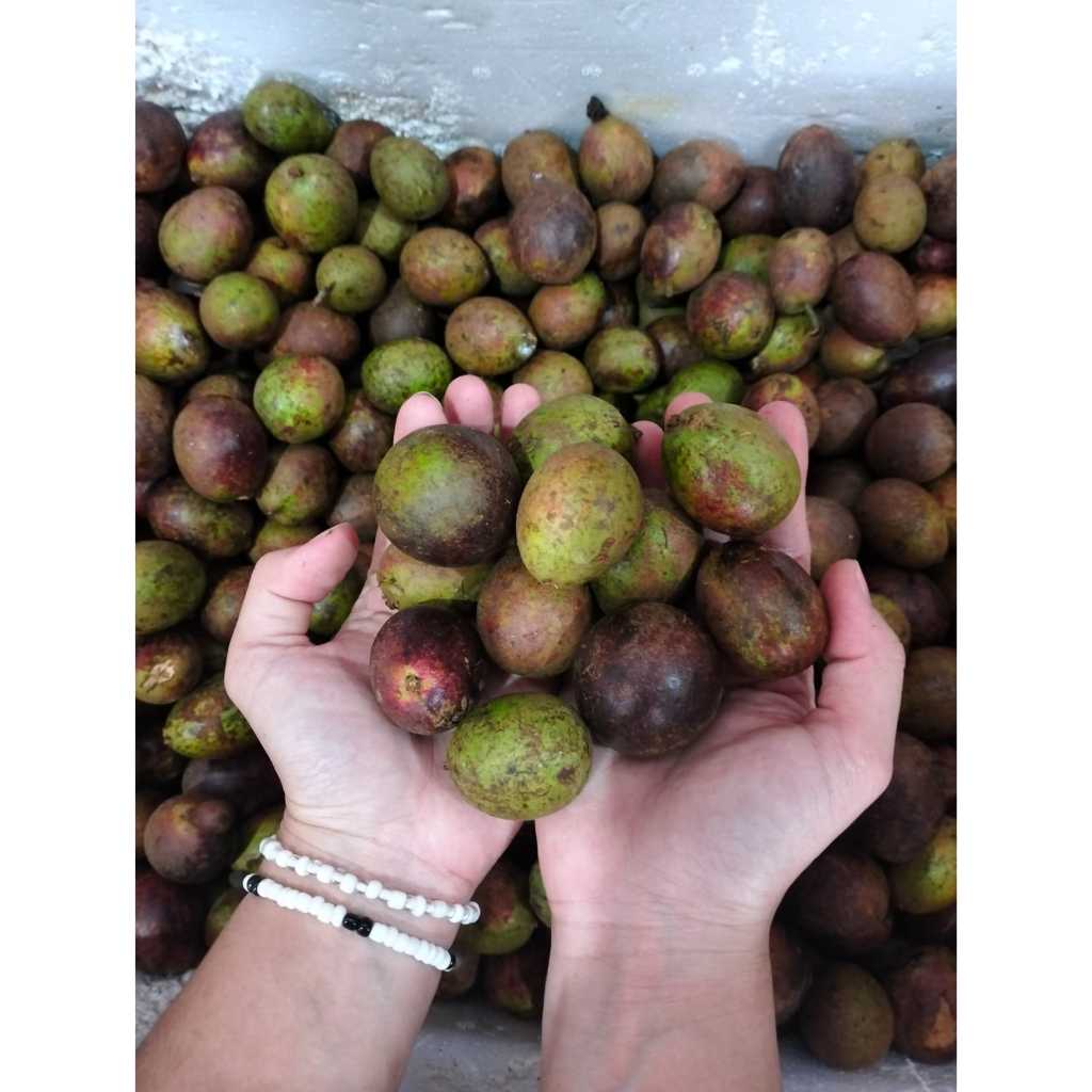 

Buah Matoa Fresh 1 kg