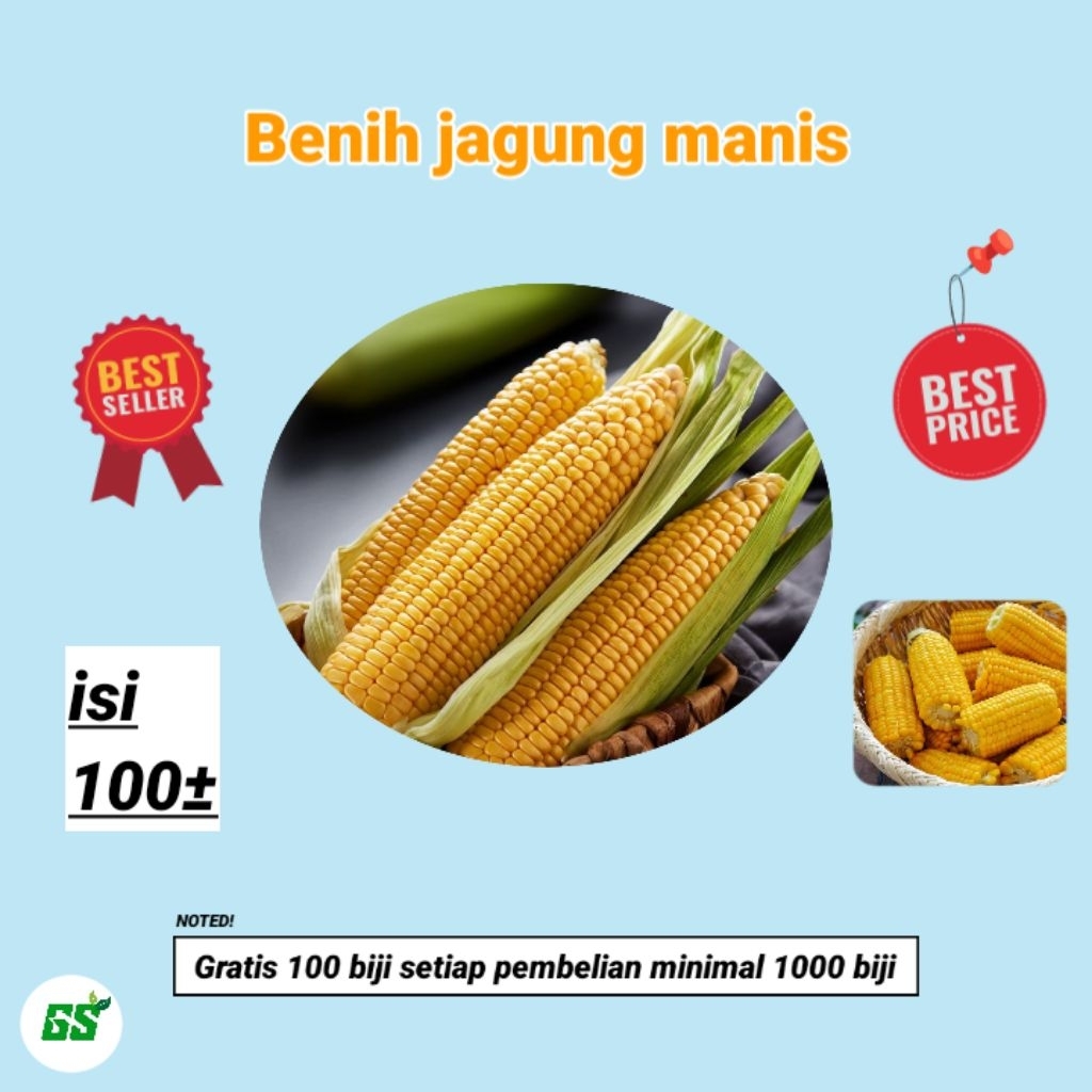 

Benih jagung manis (100±)
