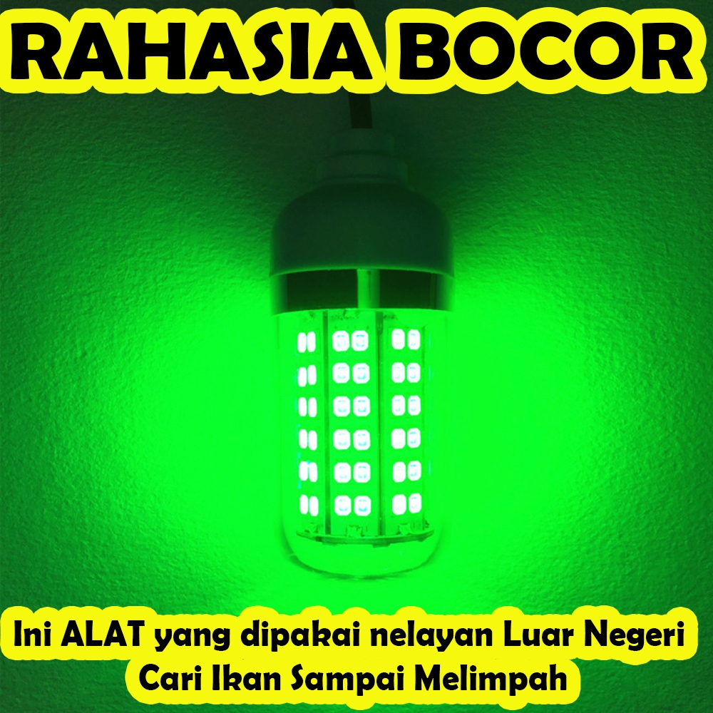 Lampu Celup Aki Alat Pemikat Ikan Dan Benur Termurah