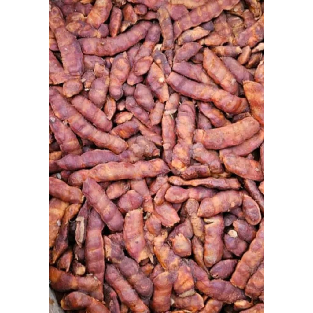 

Asam Jawa Asli Fresh Panen setiap hari