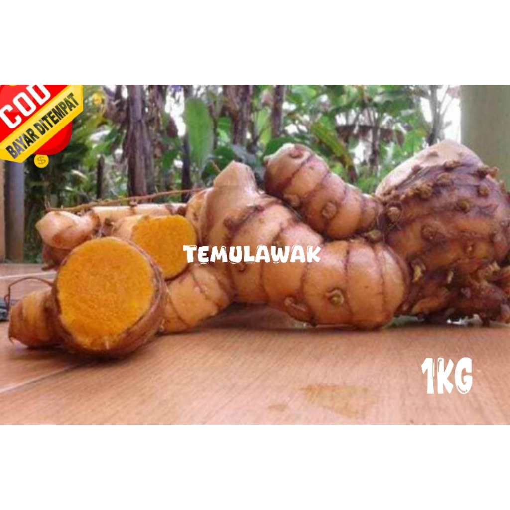 

Temulawak fres bersih 1kg
