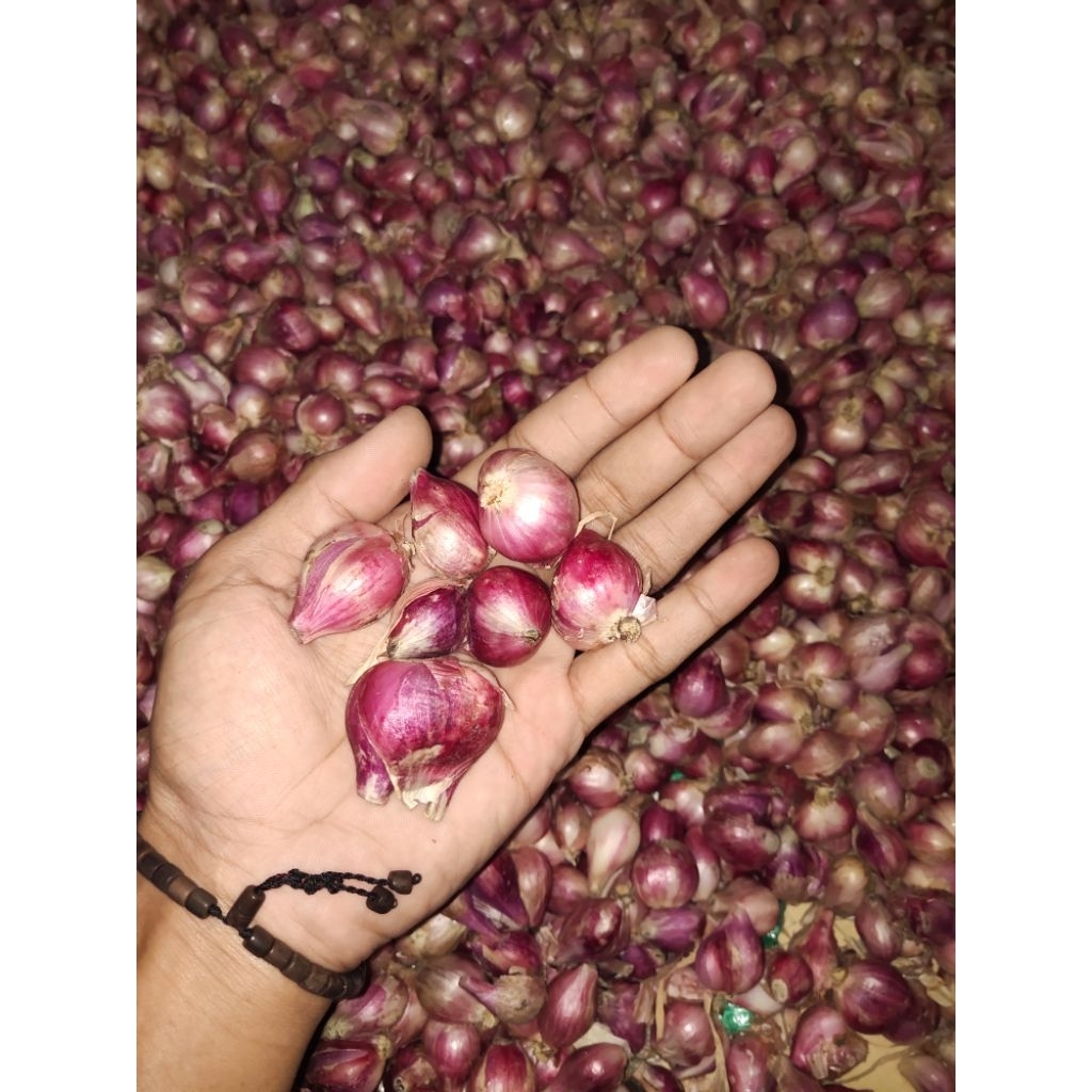

BAWANG MERAH NGANJUK KERING.