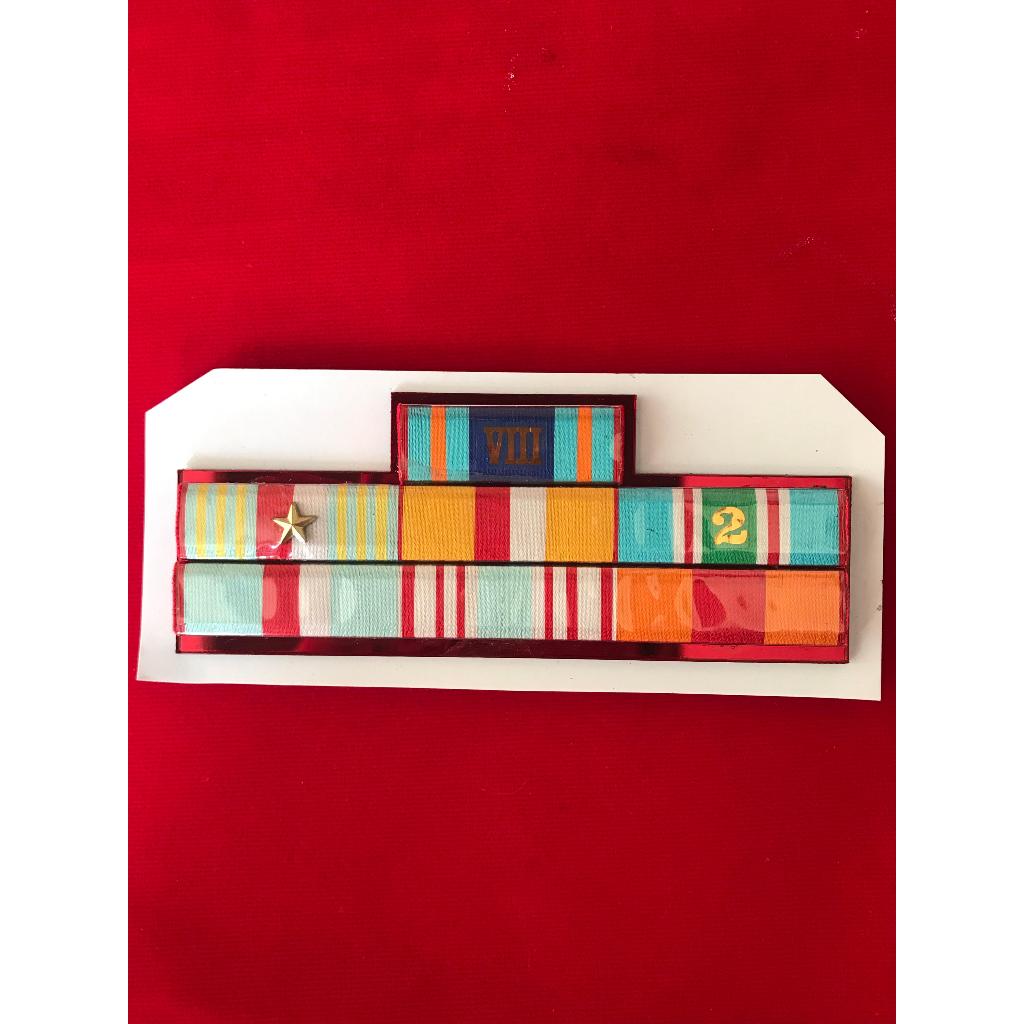 

pita jasa pdh tni 8thn, wiradarma bintang1, wirasiaga, lebanon, bakti buana, nepal