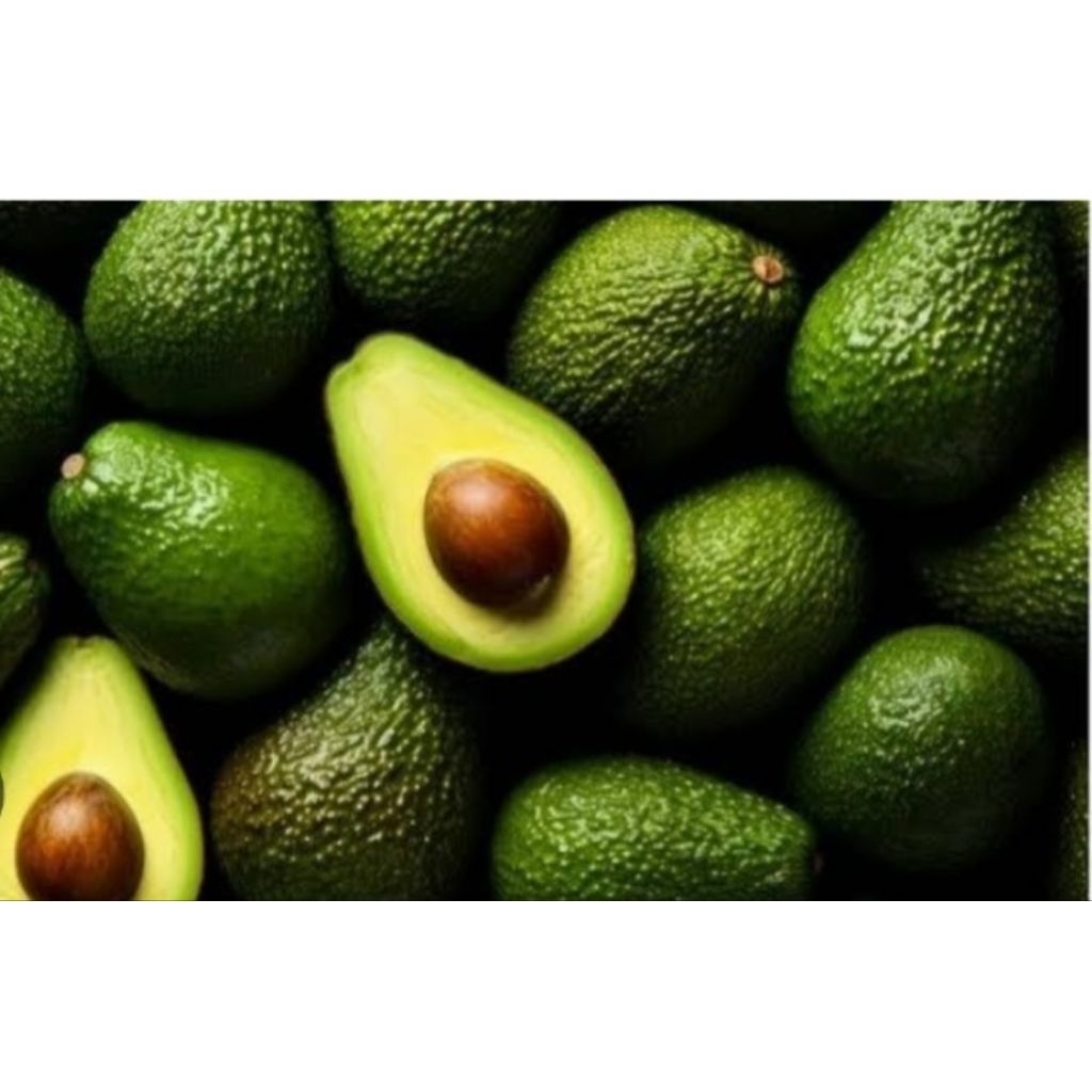 

buah alpukat mentega 1kg