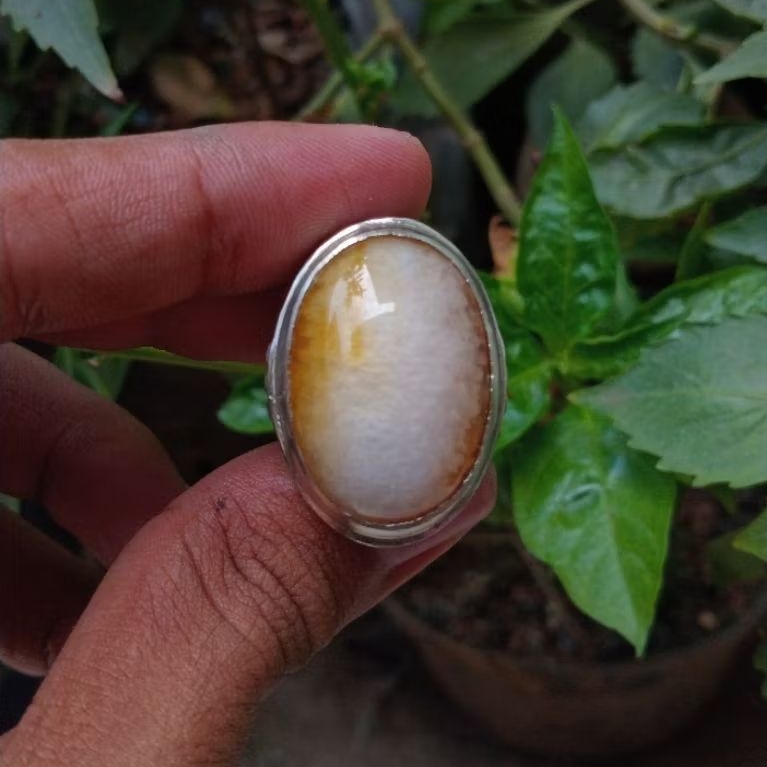 cincin batu akik pandan kapas semu nanas sisik betik