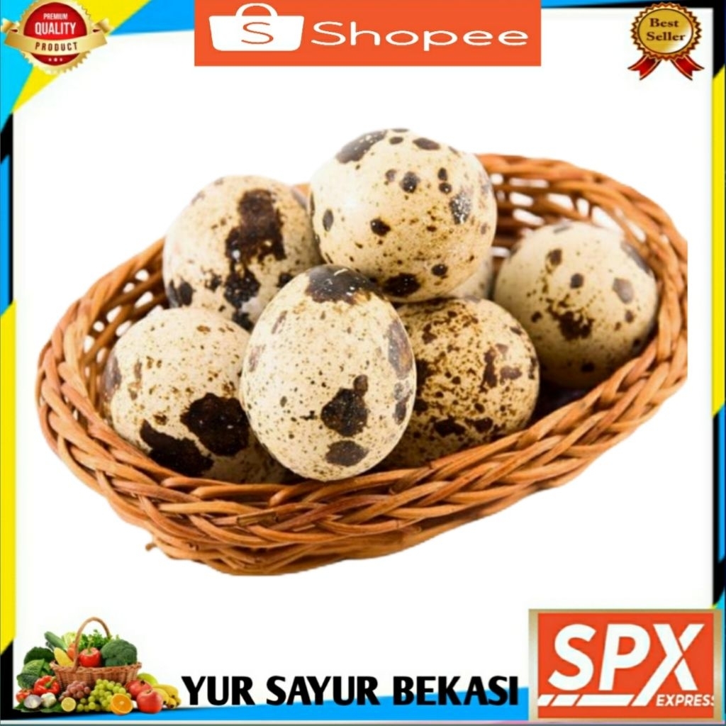 

Telur Puyuh Mentah isi 25 Butir.