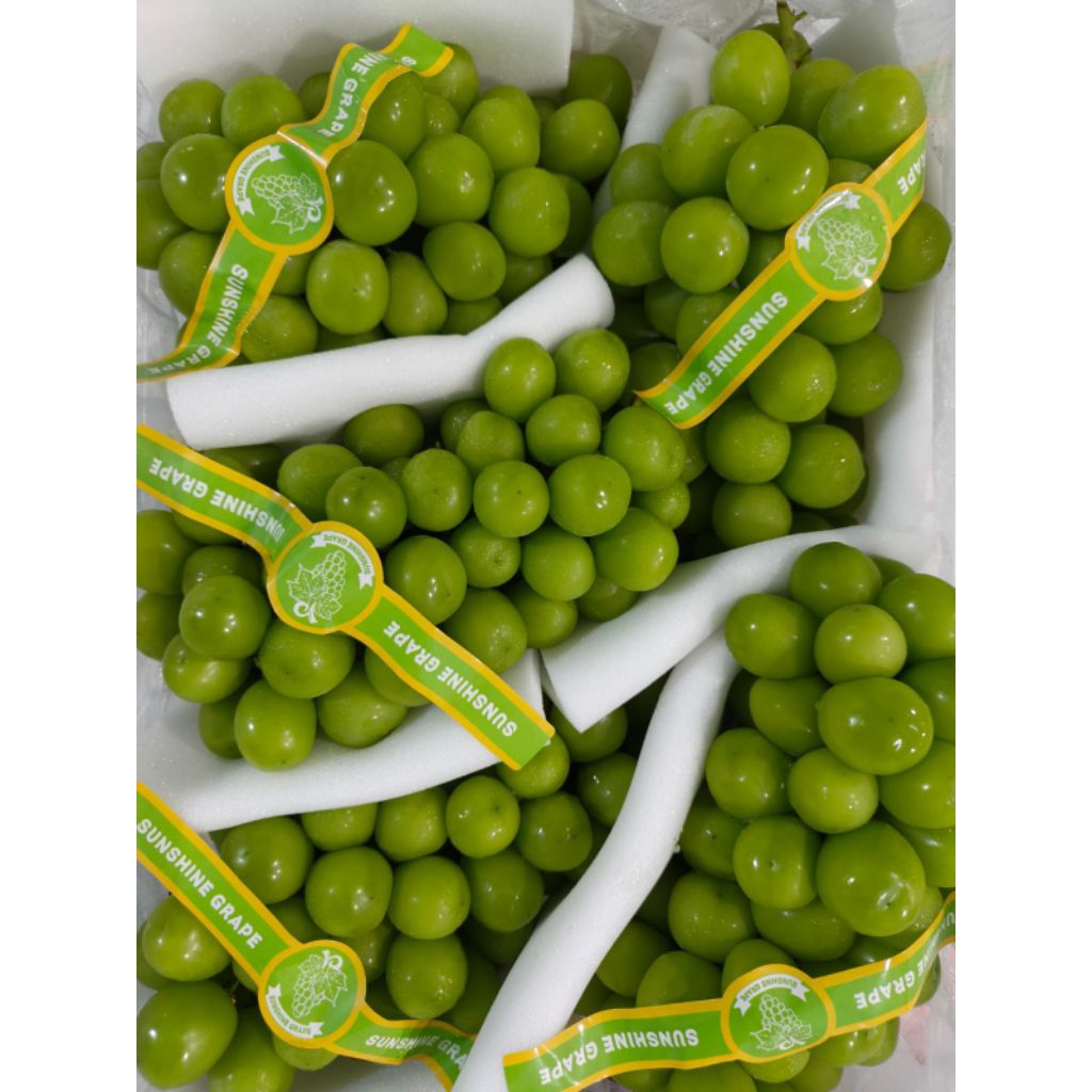 

anggur Muscat 5krat | Diskon agutus