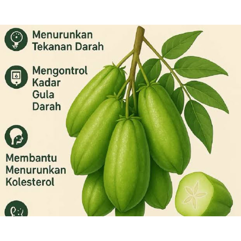 

Belimbing Wuluh [10 biji]