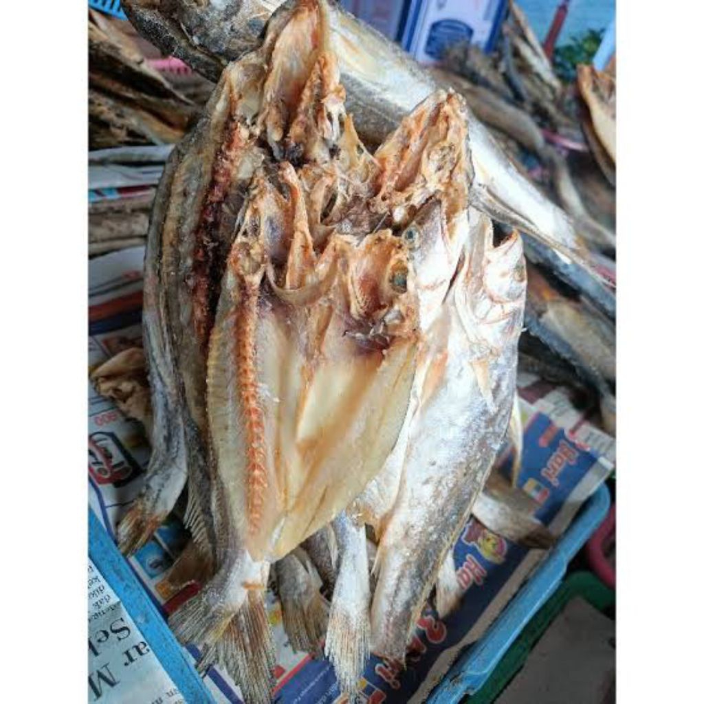 Ikan Asin Gulama / Ikan asin belah (Seafood kering)