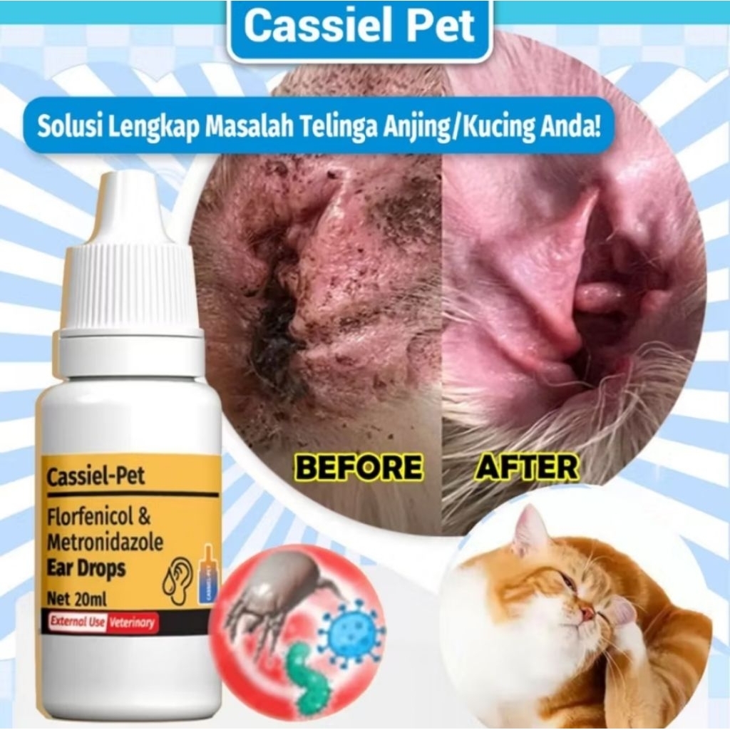 Cassiel Pet Tetes Telinga Kucing Anjing – Florfenicol & Metronidazole 20ml | Obat Infeksi Telinga, G