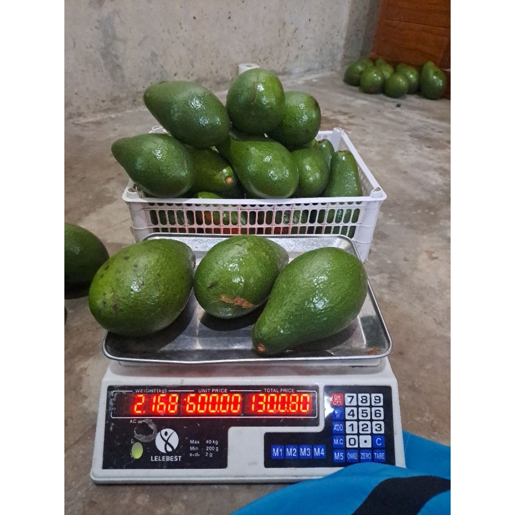 

2kg isi 3 ALPUKAT PLUWANG || ALPUKAT PANGERAN || PREMIUM QC