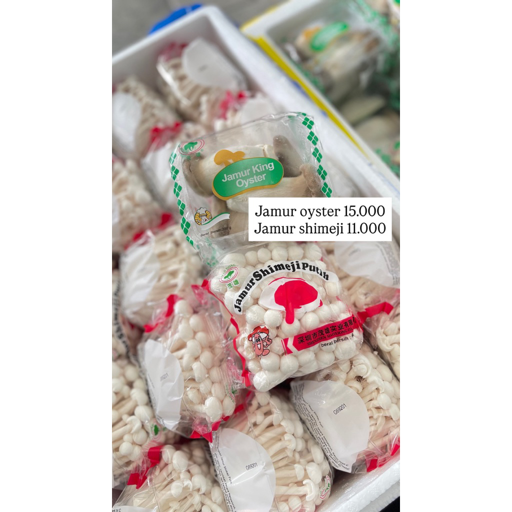 

JAMUR OYSTER