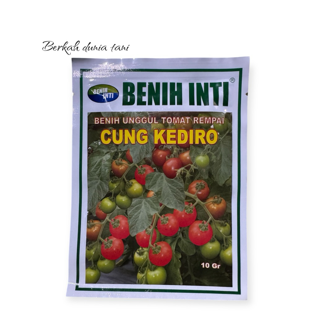 Benih Tomat Rempai Cung Kidiro Cap Benih Inti 10 gram