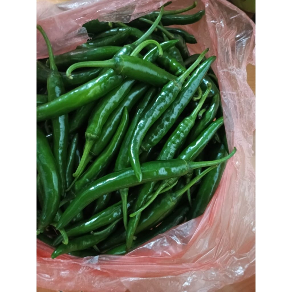 

Cabe ijo besar 1kg